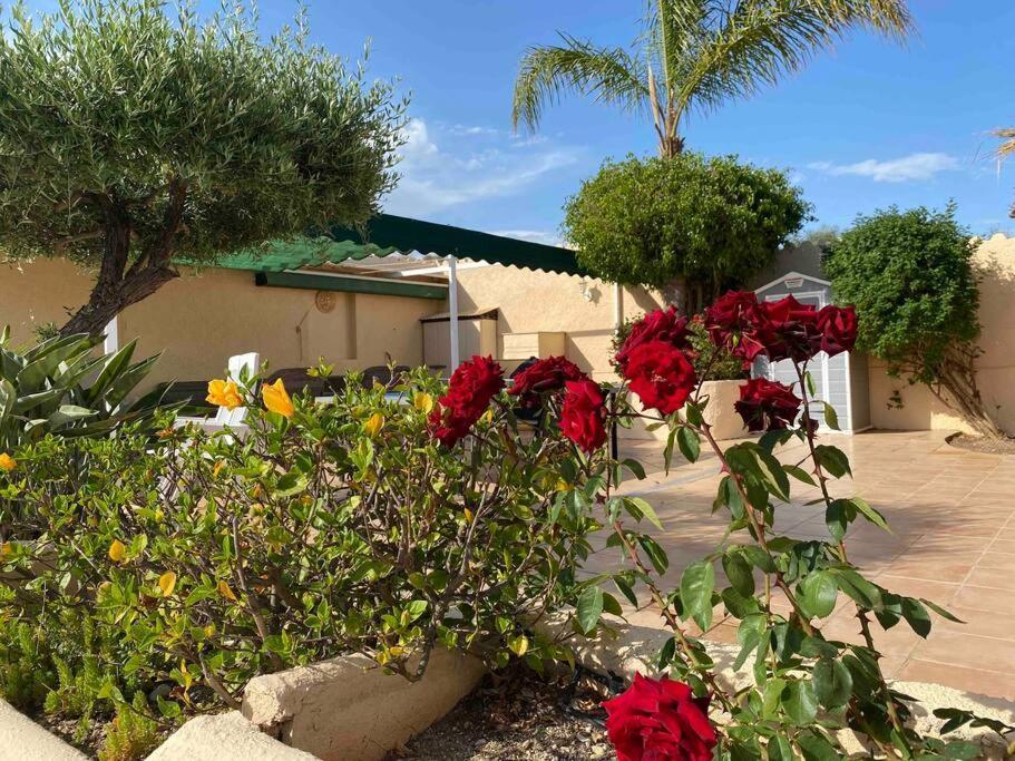 Villa Los Faramondos Naturehouse Turre Exterior photo