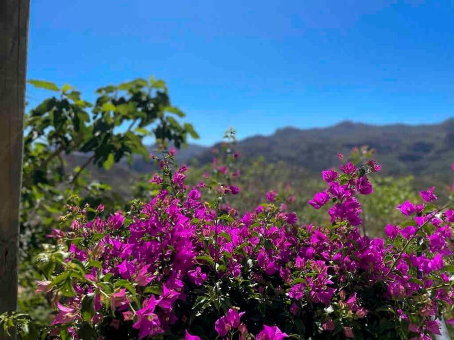 Villa Los Faramondos Naturehouse Turre Exterior photo